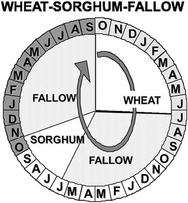 Controlling Stormwater Runoff That Limits Water Availability and Dryland Crop Productivity